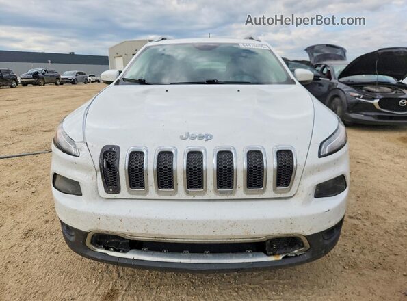 1C4PJMDSXGW374802 2016 JEEP CHEROKEE White Widok z przodu