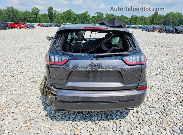 1C4PJMDX0KD398610 2019 JEEP CHEROKEE Серый Вид сзади