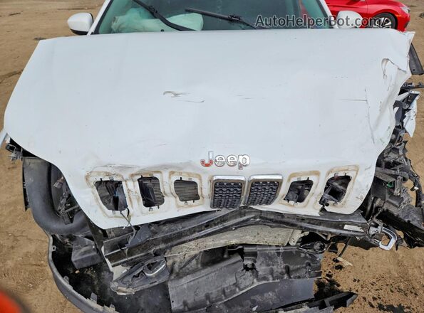 1C4PJMDX0MD167502 2021 JEEP CHEROKEE White Widok komory silnika