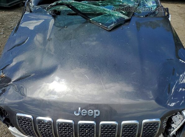 1C4PJMDX1KD236405 2019 JEEP CHEROKEE Черный Вид подкапотного пространства
