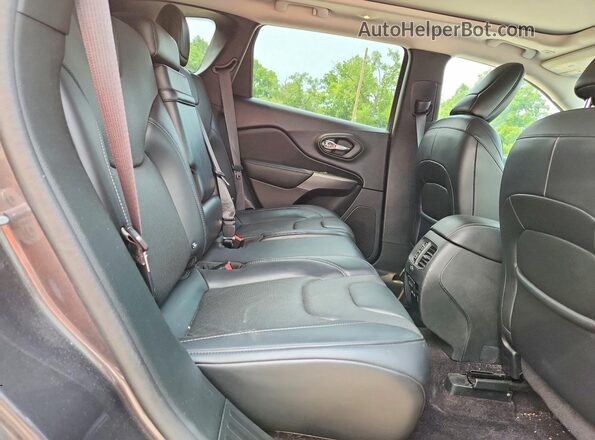 1C4PJMDX2KD124745 2019 JEEP CHEROKEE Gray Vista interior trasera