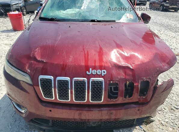 1C4PJMDX2KD252418 2019 JEEP CHEROKEE Burgundy Widok komory silnika