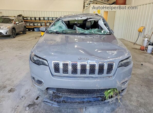 1C4PJMDX2LD630299 2020 JEEP CHEROKEE Gray წინა ხედი