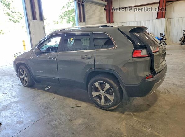 1C4PJMDX2LD630299 2020 JEEP CHEROKEE Gray უკანა მარცხენა