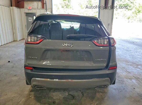 1C4PJMDX2LD630299 2020 JEEP CHEROKEE Gray უკანა ხედი