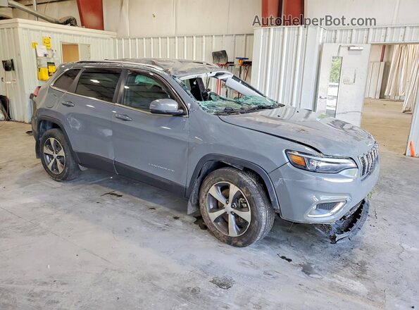 1C4PJMDX2LD630299 2020 JEEP CHEROKEE Gray წინა მარჯვენა