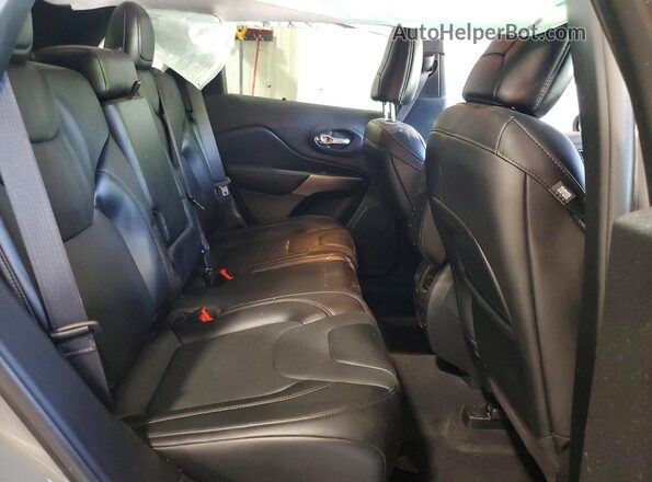 1C4PJMDX2LD630299 2020 JEEP CHEROKEE Gray უკანა სავარძლების ხედი