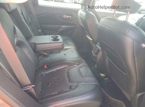 1C4PJMDX2LD635079 2020 JEEP CHEROKEE Серый Вид задней части салона