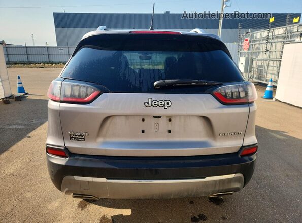 1C4PJMDX3KD278915 2019 JEEP CHEROKEE Silver Rear view