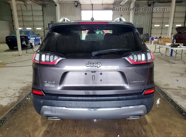 1C4PJMDX3KD424973 2019 JEEP CHEROKEE Gray უკანა ხედი