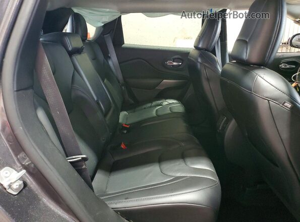 1C4PJMDX3KD424973 2019 JEEP CHEROKEE Gray უკანა სალონის ხედი