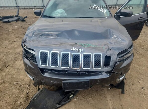 1C4PJMDX3LD563003 2020 JEEP CHEROKEE Gray Widok wnętrza z tyłu