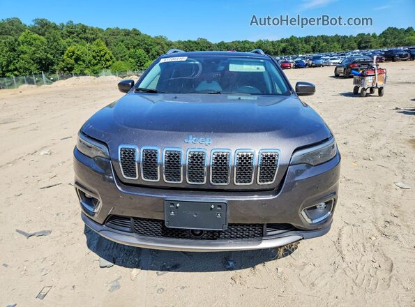 1C4PJMDX3MD171270 2021 JEEP CHEROKEE Gray Widok z przodu