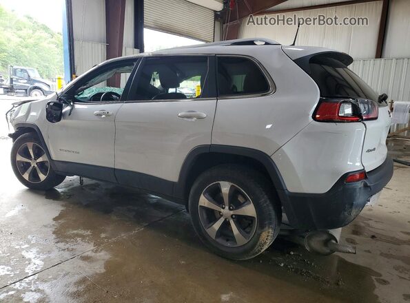 1C4PJMDX4LD584278 2020 JEEP CHEROKEE White Tył lewy