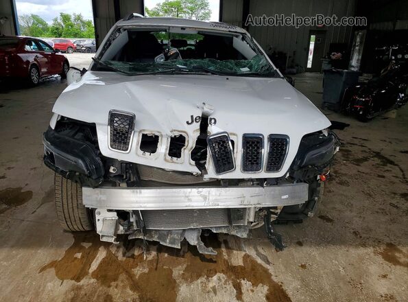 1C4PJMDX4LD584278 2020 JEEP CHEROKEE White Widok z przodu