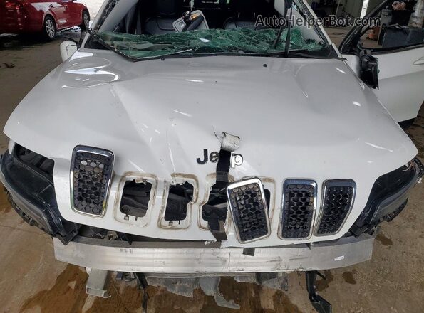 1C4PJMDX4LD584278 2020 JEEP CHEROKEE White Widok komory silnika