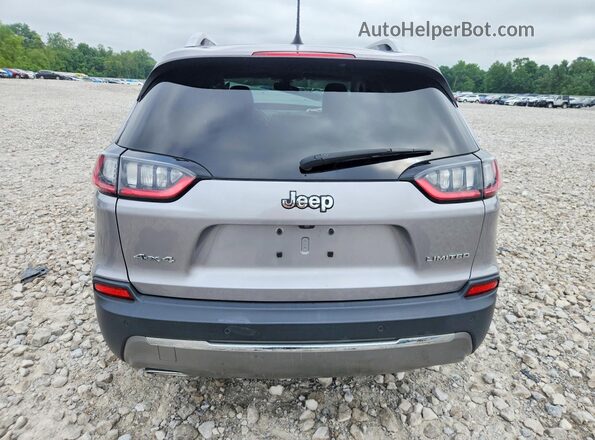1C4PJMDX5LD616946 2020 JEEP CHEROKEE Silver უკანა ხედი