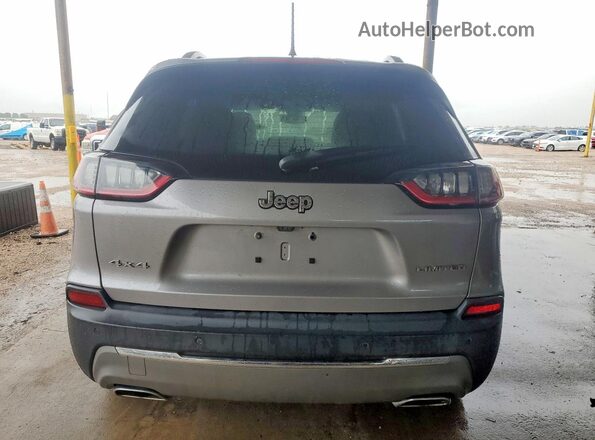 1C4PJMDX6LD650880 2020 JEEP CHEROKEE Gray Widok z tyłu