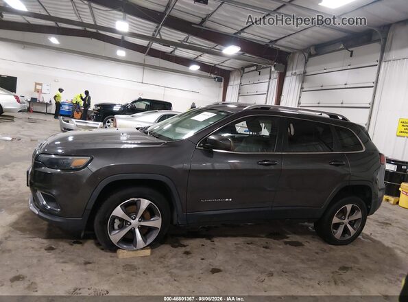 1C4PJMDX6LD650989 2020 JEEP CHEROKEE Gray Панорамний вид салону 360°