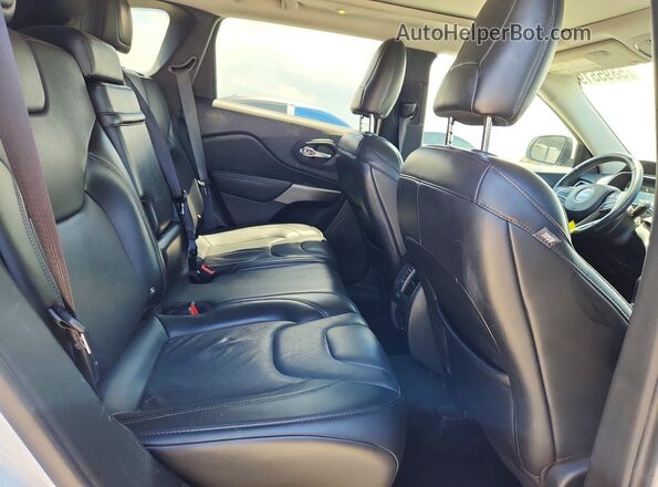 1C4PJMDX7KD156123 2019 JEEP CHEROKEE Белый Вид задней части салона