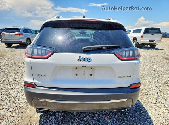1C4PJMDX7KD156123 2019 JEEP CHEROKEE Белый Вид сзади