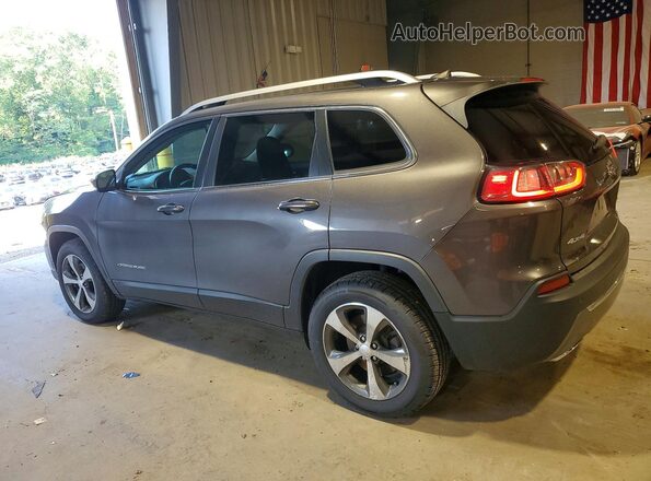 1C4PJMDX8KD317630 2019 JEEP CHEROKEE Gray Tył lewy