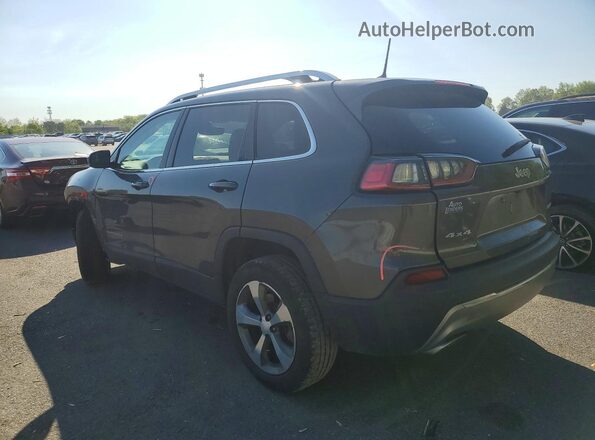 1C4PJMDX9KD491304 2019 JEEP CHEROKEE Серый Задняя левая четверть