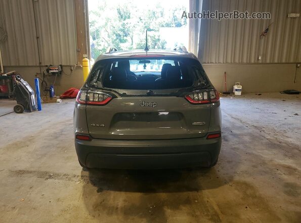 1C4PJMLB1LD609689 2020 JEEP CHEROKEE Gray უკანა ხედი
