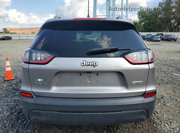 1C4PJMLB5LD548699 2020 JEEP CHEROKEE Silver Vista trasera