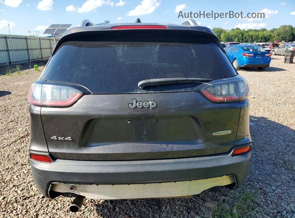 1C4PJMLB6KD182430 2019 JEEP CHEROKEE Gray Widok z tyłu