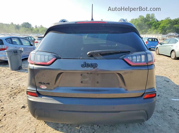 1C4PJMLB6KD319883 2019 JEEP CHEROKEE Gray Հետևի տեսք