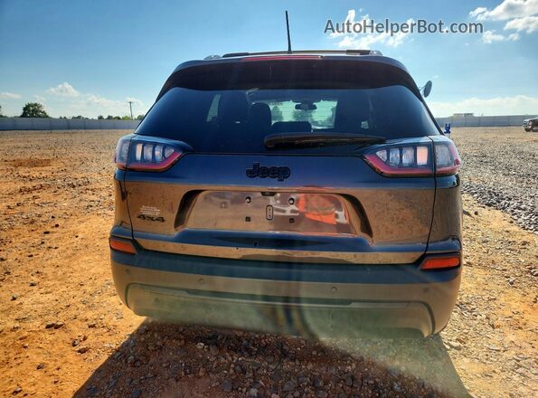 1C4PJMLB6KD437819 2019 JEEP CHEROKEE Серый Вид сзади