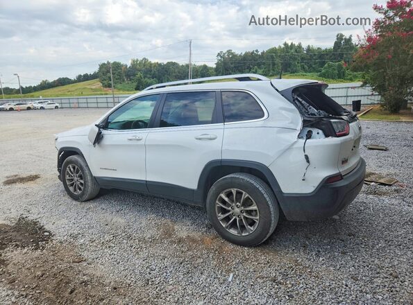 1C4PJMLB6LD590542 2020 JEEP CHEROKEE Белый Задняя левая четверть