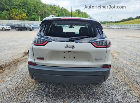 1C4PJMLB6LD590542 2020 JEEP CHEROKEE Белый Вид сзади