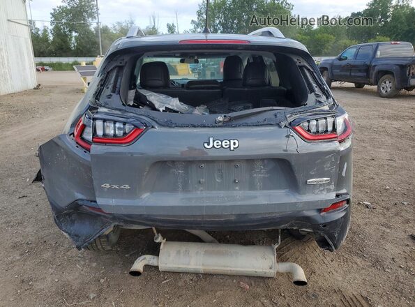 1C4PJMLN3LD555354 2020 JEEP CHEROKEE Gray Widok z tyłu