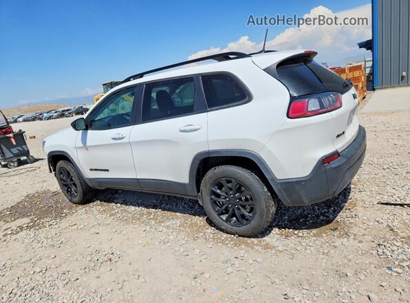 1C4PJMMB1PD112260 2023 JEEP CHEROKEE Белый Задняя левая четверть