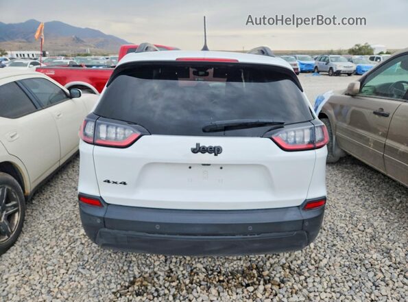 1C4PJMMB1PD112260 2023 JEEP CHEROKEE Белый Вид сзади
