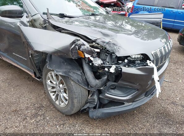 1C4PJMMX2MD124232 2021 JEEP CHEROKEE Gray Widok z przodu