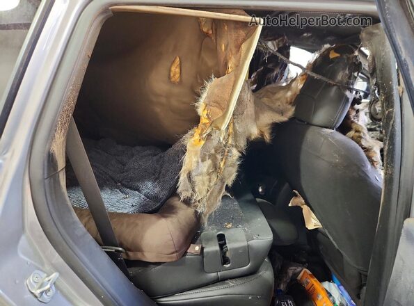 1C4PJMMX2ND519304 2022 JEEP CHEROKEE Silver Սալոնի հետևի տեսք