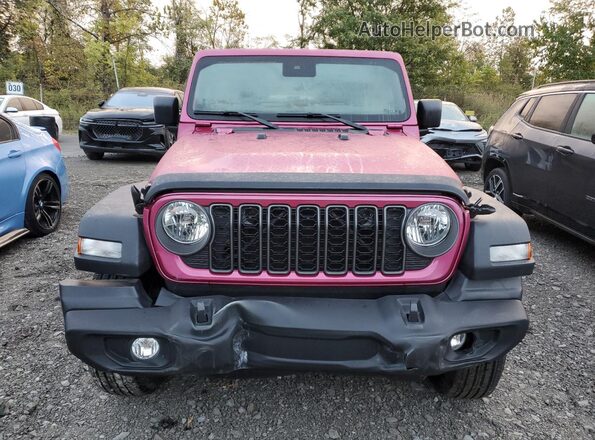1C4PJXDG4RW338863 2024 JEEP WRANGLER Pink Front view
