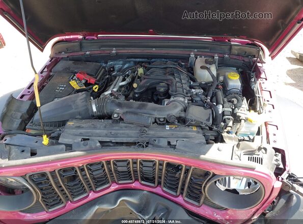 1C4PJXDG6RW326228 2024 JEEP WRANGLER Pink Vista trasera