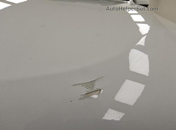 1C4RDHAG6MC519077 2021 DODGE DURANGO White 