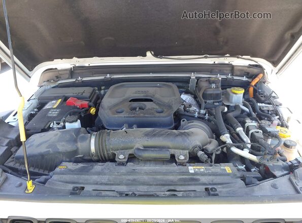 1C4RJXR66RW232391 2024 JEEP WRANGLER White Widok z tyłu