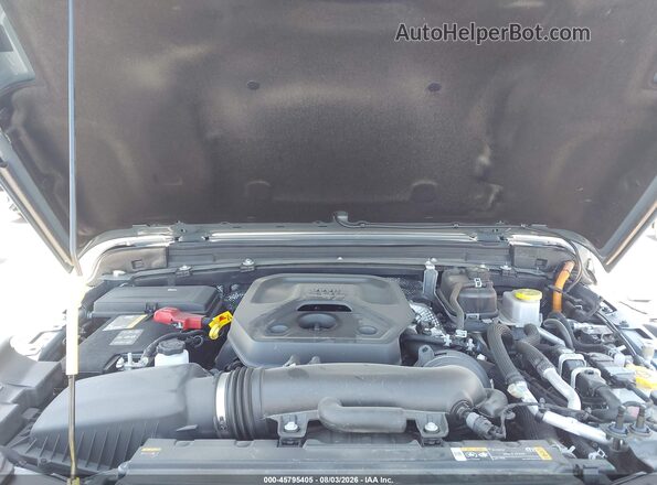 1C4RJXR6XRW316987 2024 JEEP WRANGLER Gray Widok z tyłu