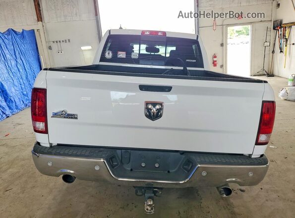 1C6RR6LT1GS128307 2016 RAM 1500 Белый Вид сзади