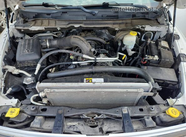1C6RR6TT4MS515834 2021 RAM 1500 White Widok wnętrza z tyłu