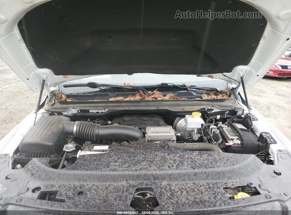 1C6RRECT2PN633300 2023 RAM 1500 Белый Вид сзади