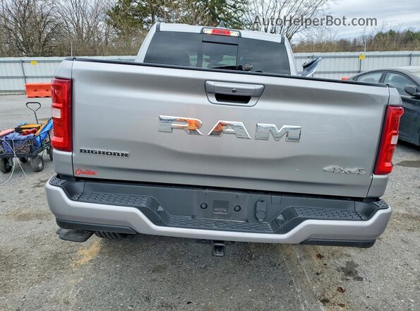 1C6RRFFG3SN524499 2025 RAM 1500 Silver Հետևի տեսք