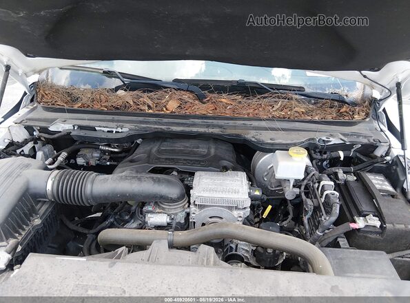 1C6SRFJT2PN541596 2023 RAM 1500 White Հետևի տեսք