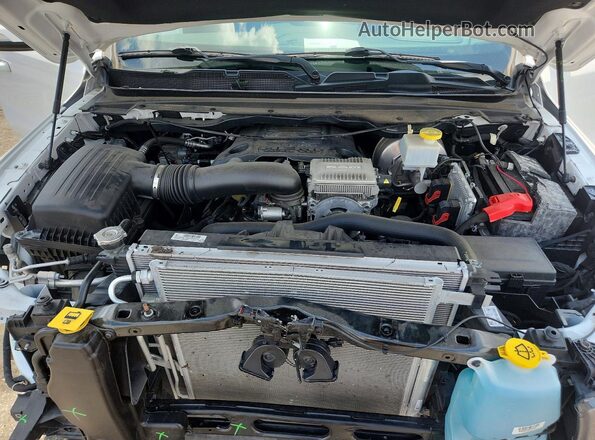 1C6SRFJT7LN324944 2020 RAM 1500 Белый Вид задней части салона